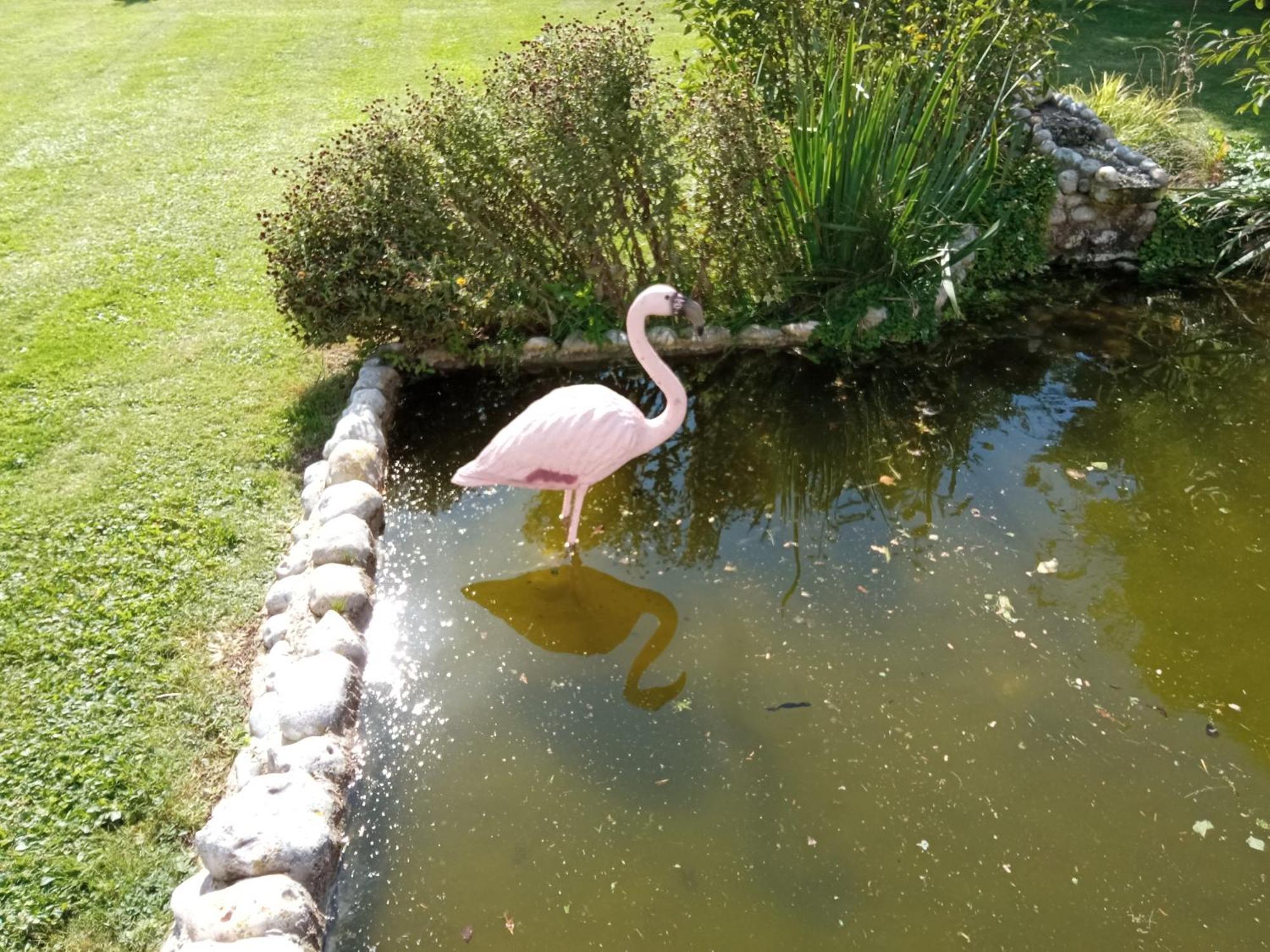 Gite Repos Et Tranquillite P Cayeux-sur-Mer Luaran gambar